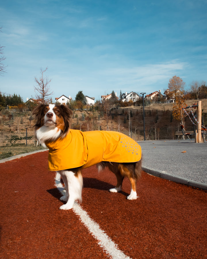 Seattle StormGuard Coat | Mustard Fog