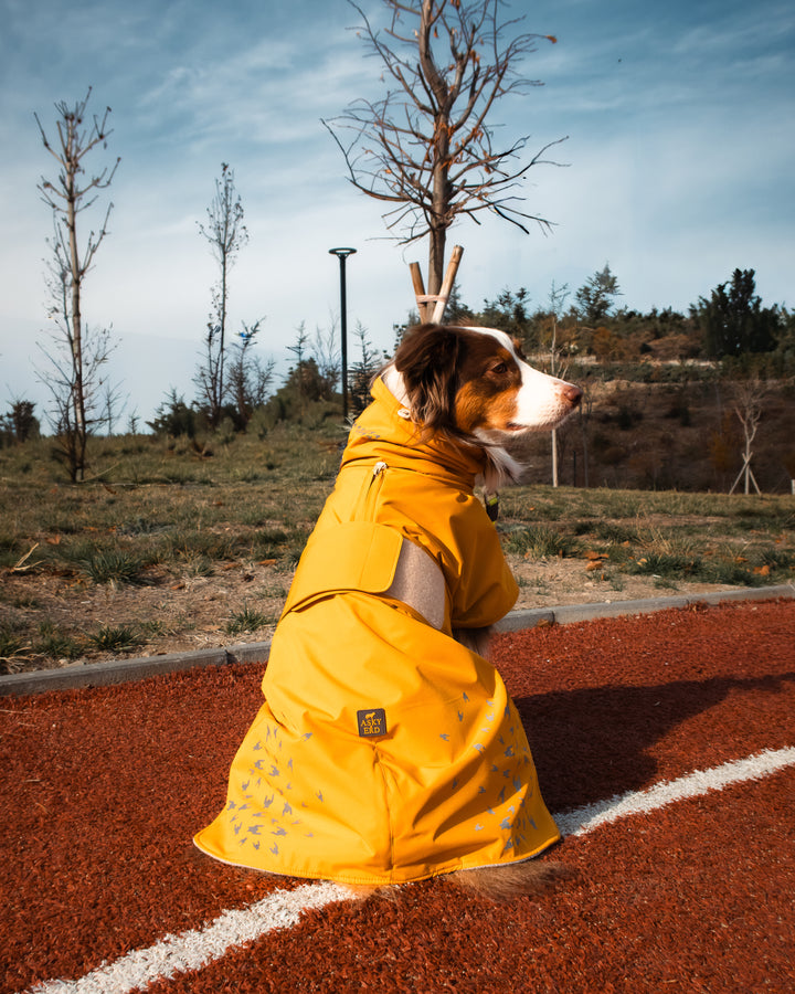 Seattle StormGuard Coat | Mustard Fog