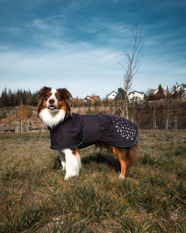 Seattle StormGuard Coat | Charcoal Ice