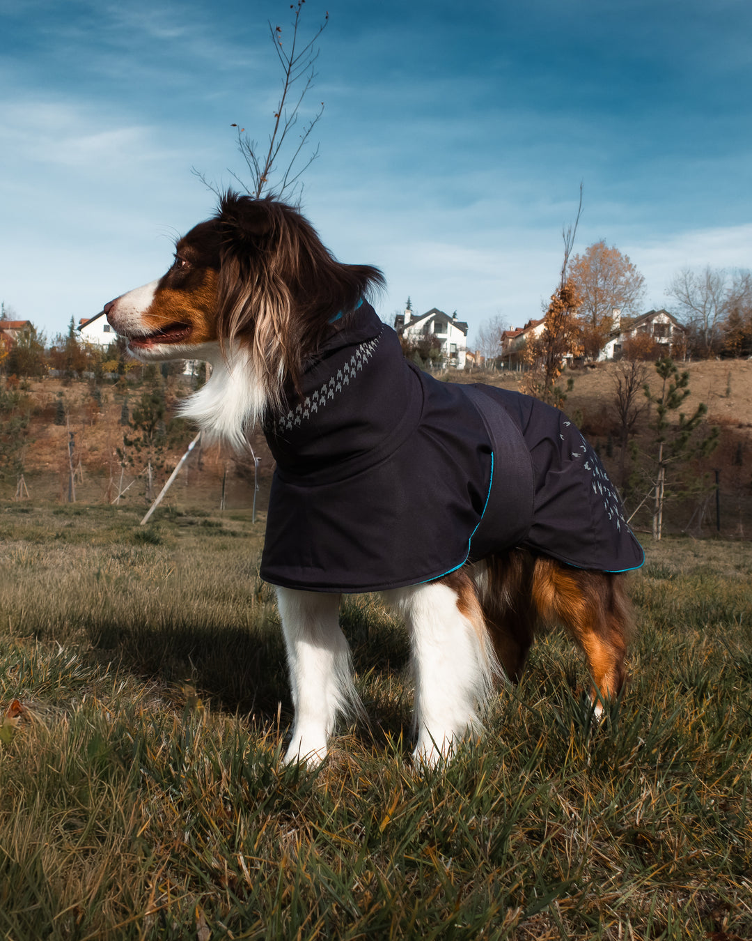 Seattle StormGuard Coat | Charcoal Ice