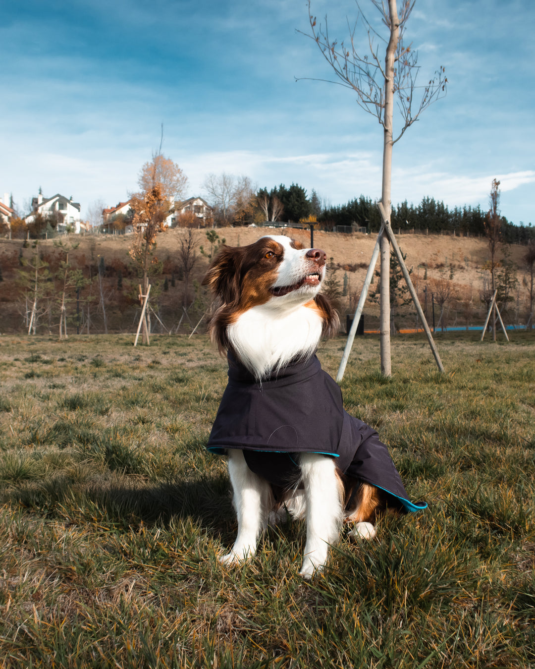 Seattle StormGuard Coat | Charcoal Ice