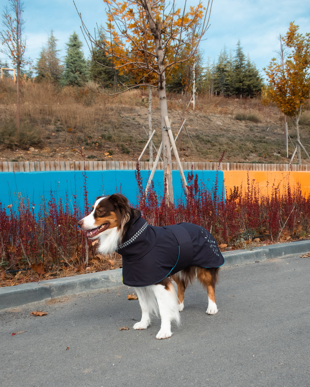 Seattle StormGuard Coat | Charcoal Ice