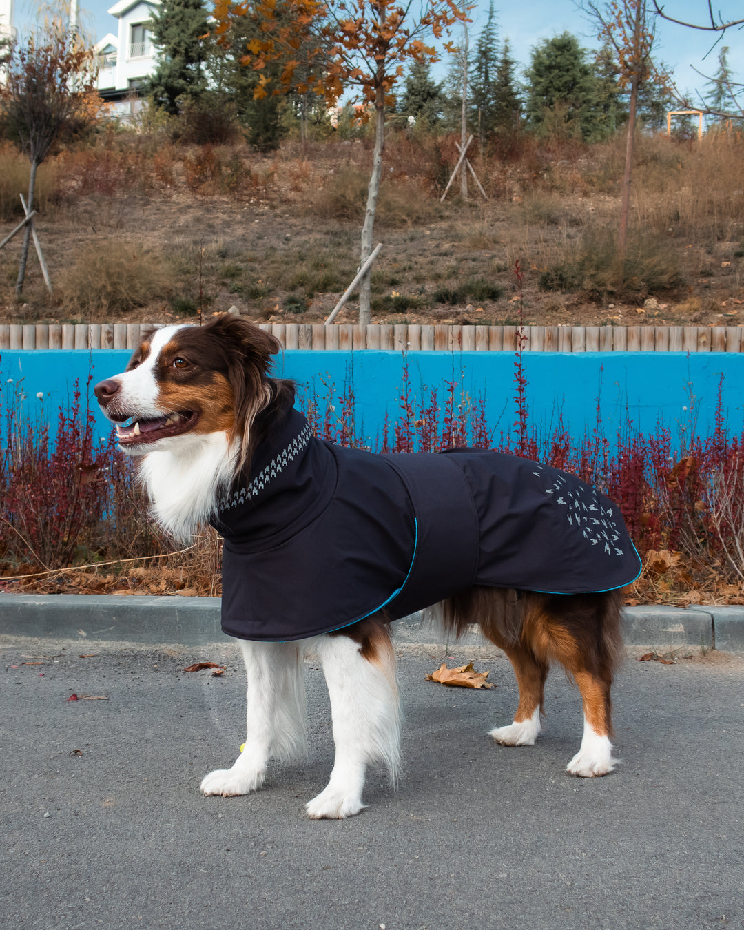 Seattle StormGuard Coat | Charcoal Ice