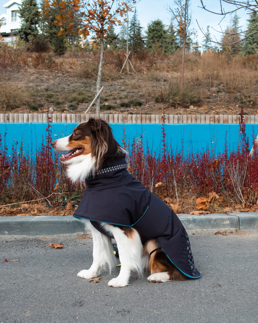 Seattle StormGuard Coat | Charcoal Ice