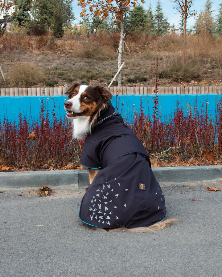 Seattle StormGuard Coat | Charcoal Ice