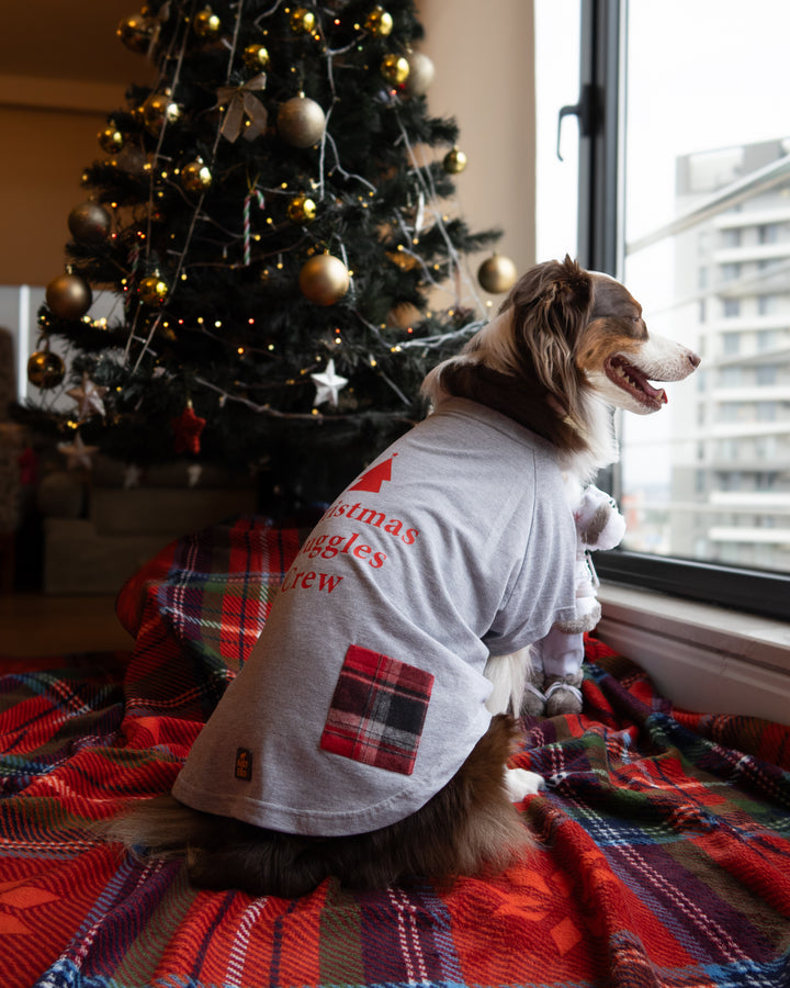 Christmas Snuggles Crew Tshirt | Winter Fog