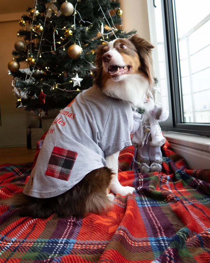 Christmas Snuggles Crew Tshirt | Winter Fog