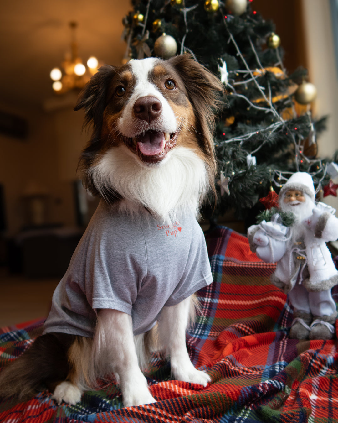 Christmas Snuggles Crew Tshirt | Winter Fog