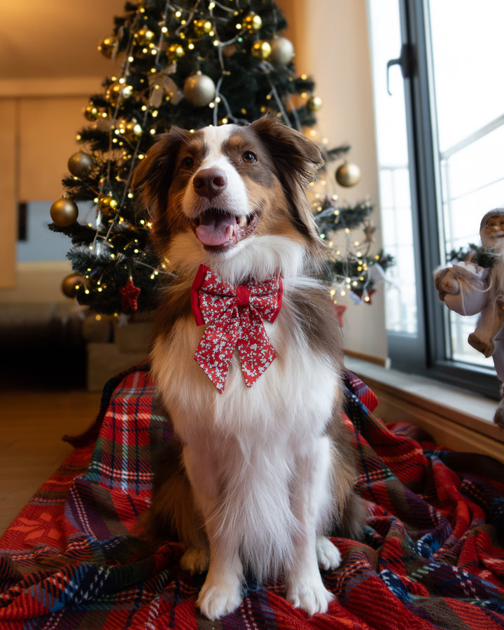 | Ribbon Bow | Snowberry Bloom