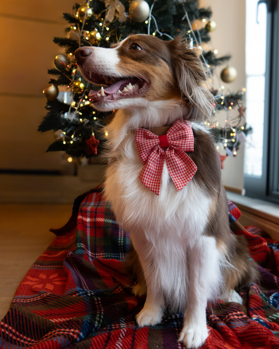 | Ribbon Bow | Gingham Grace