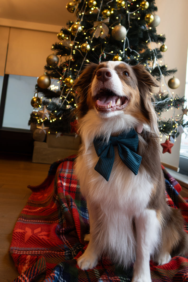 | Ribbon Bow | Midnight Pine