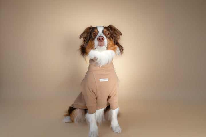 Turtleneck | Oat Milk