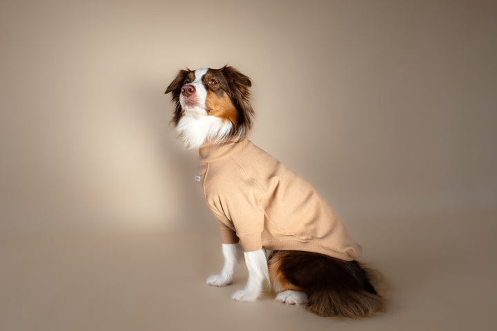 Turtleneck | Oat Milk