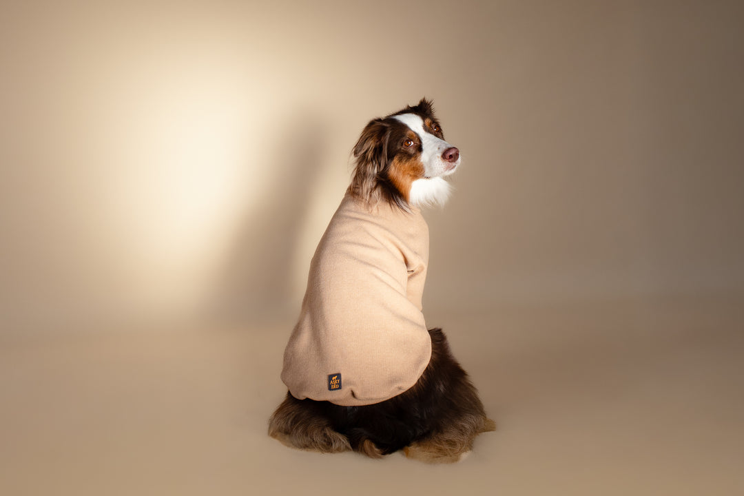 Turtleneck | Oat Milk