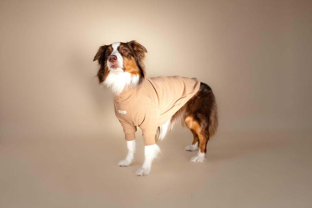 Turtleneck | Oat Milk