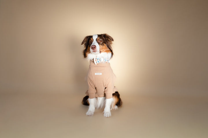 Turtleneck | Oat Milk