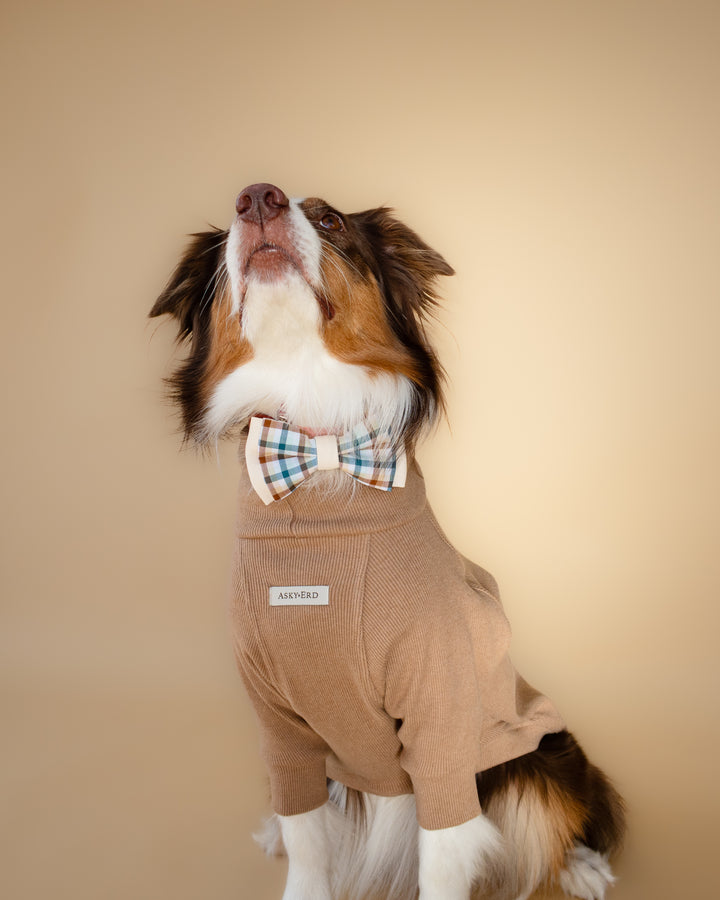 | Bow Tie | Cedar Plaid