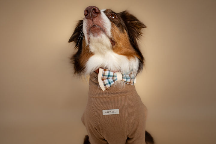 | Bow Tie | Cedar Plaid