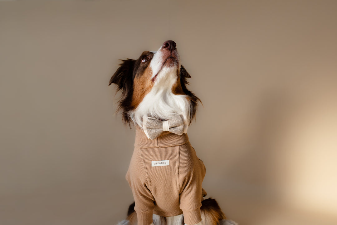 Turtleneck | Oat Milk