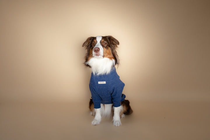 Turtleneck | Harbor Blue