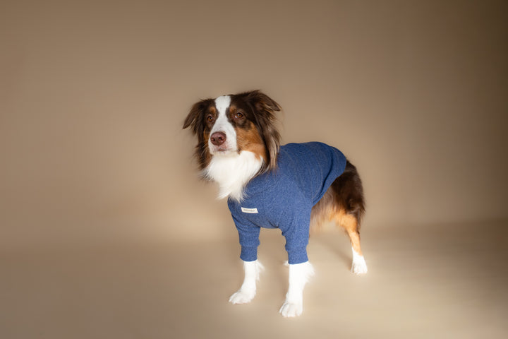 Turtleneck | Harbor Blue