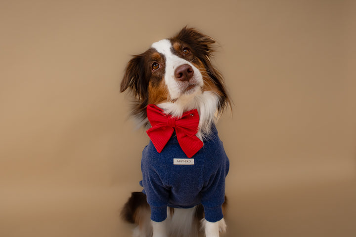 Turtleneck | Harbor Blue