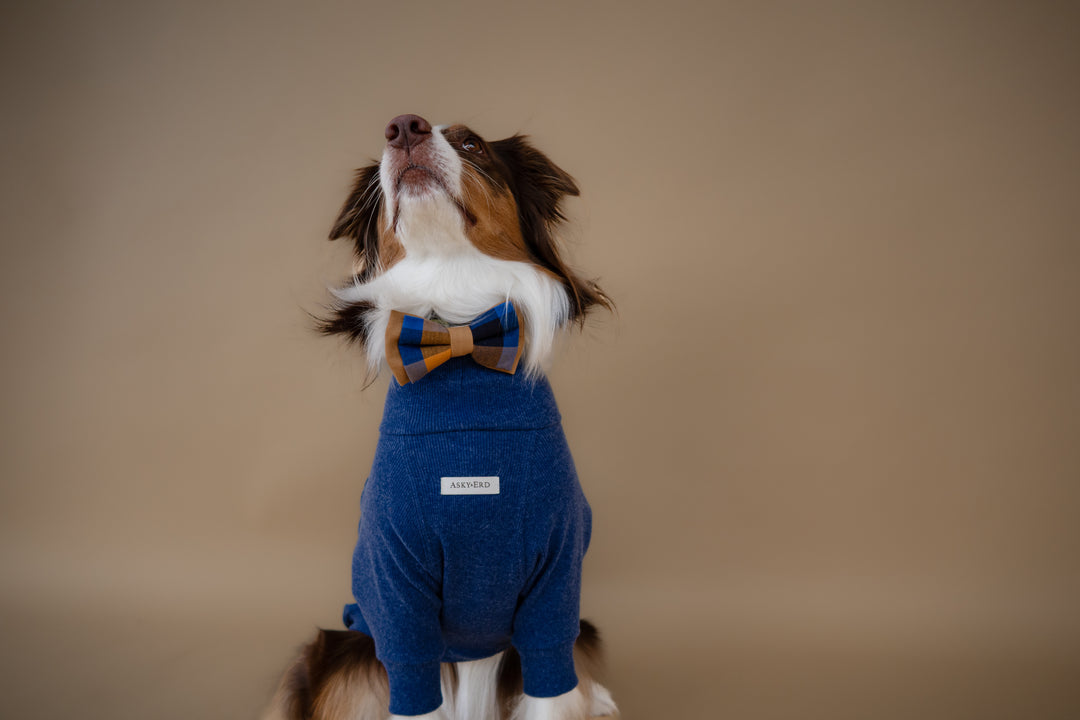 Turtleneck | Harbor Blue