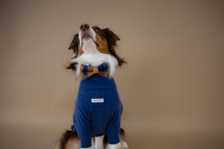 Turtleneck | Harbor Blue