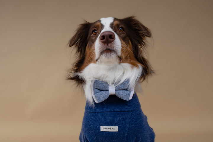 Turtleneck | Harbor Blue