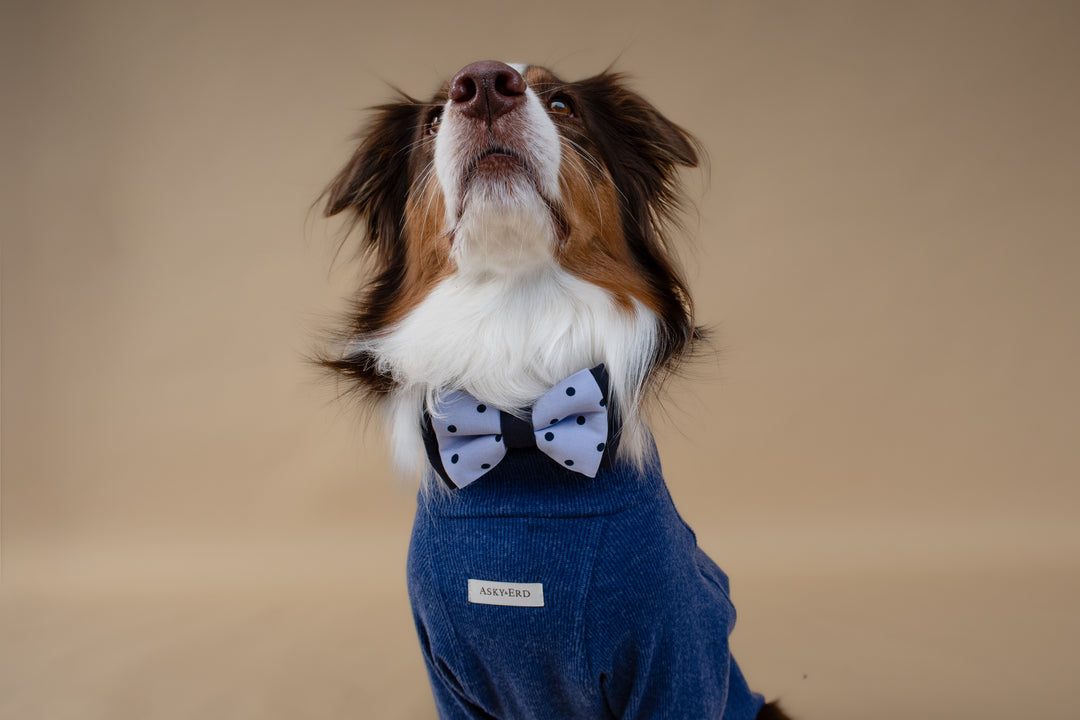 Turtleneck | Harbor Blue