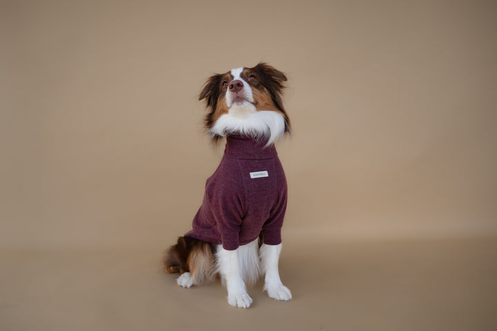 Turtleneck | Mulberry Wine