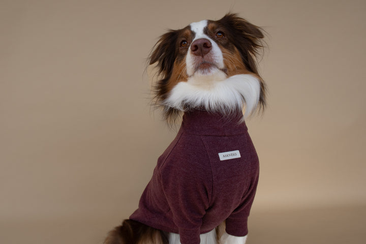 Turtleneck | Mulberry Wine