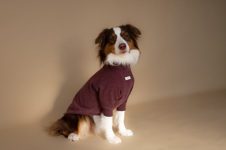 Turtleneck | Mulberry Wine