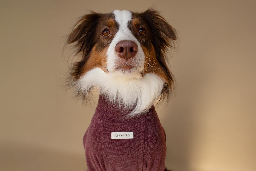 Turtleneck | Mulberry Wine