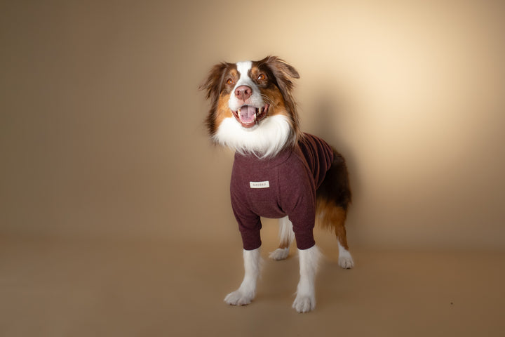 Turtleneck | Mulberry Wine