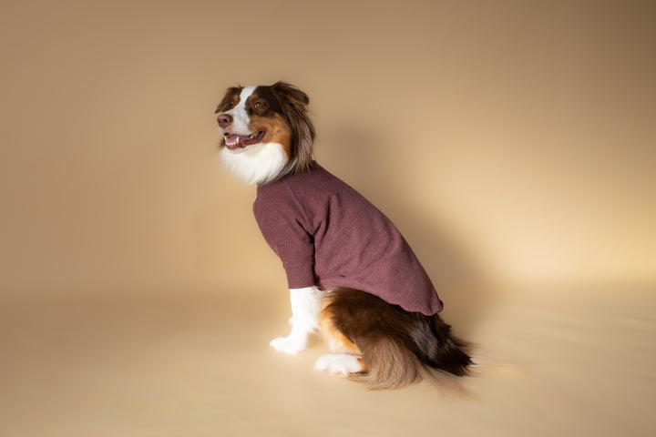 Turtleneck | Mulberry Wine