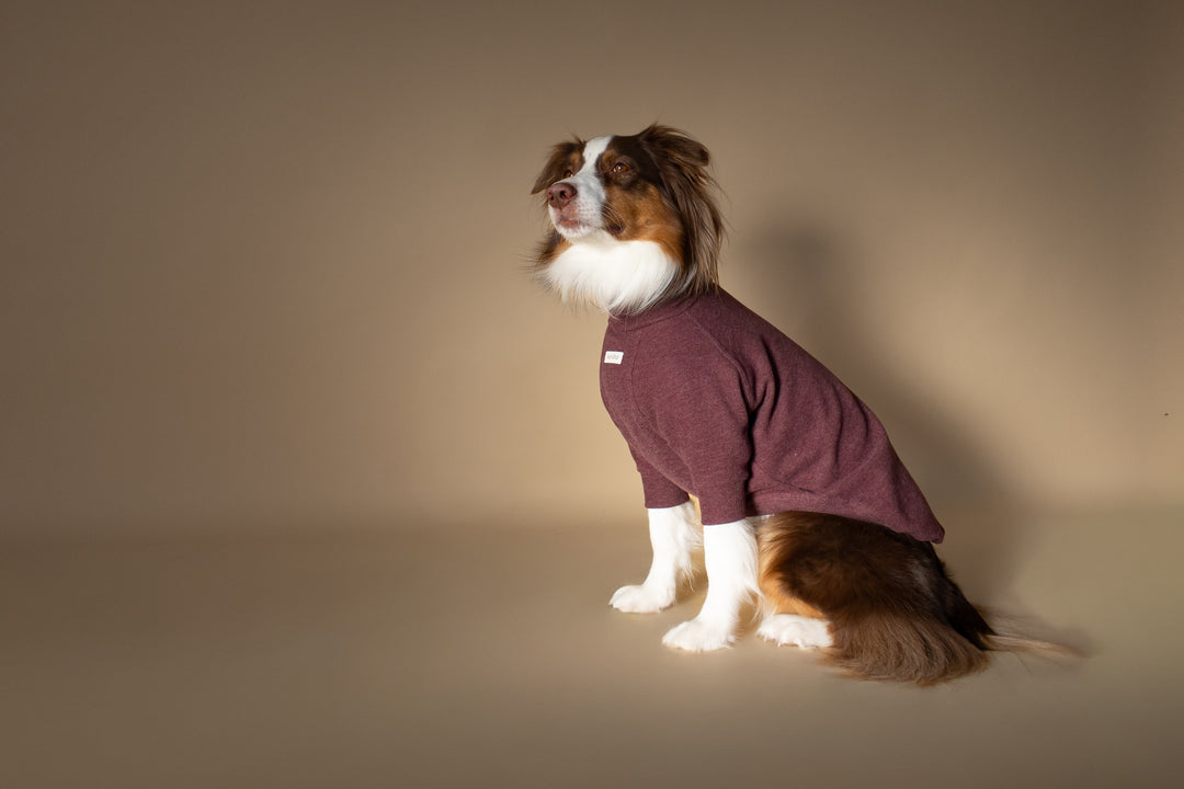 Turtleneck | Mulberry Wine