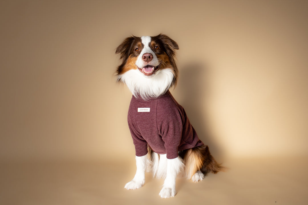 Turtleneck | Mulberry Wine