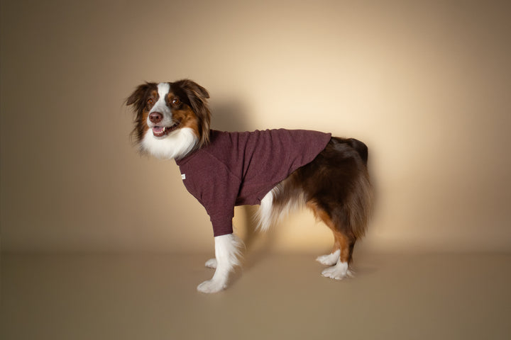 Turtleneck | Mulberry Wine