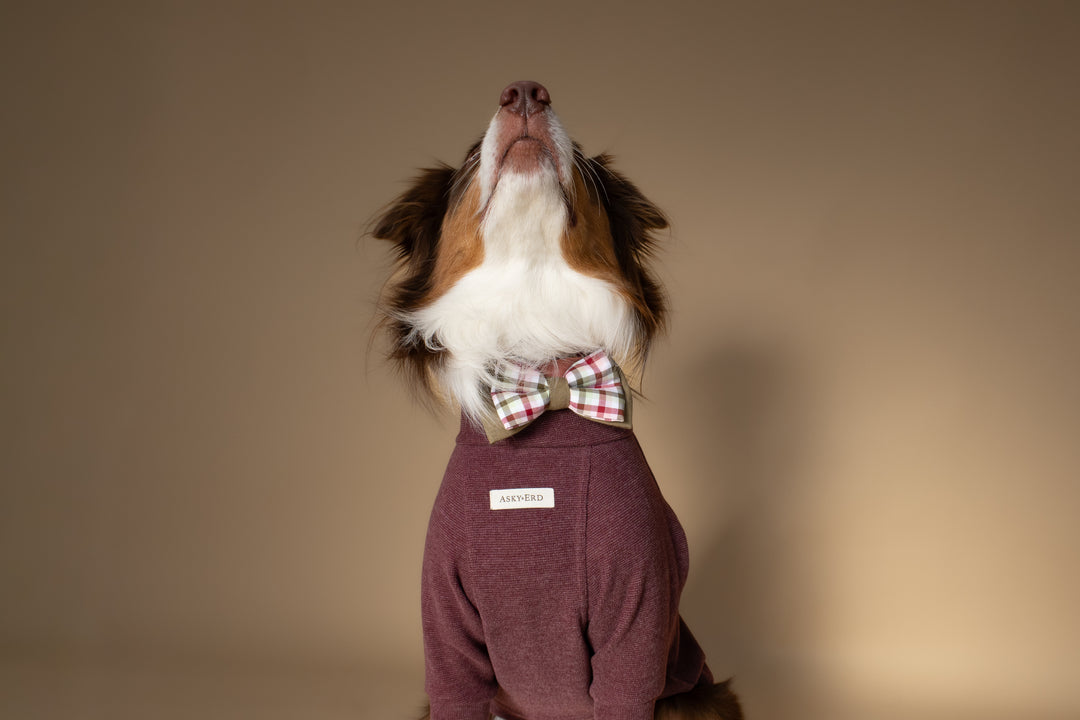 Turtleneck | Mulberry Wine