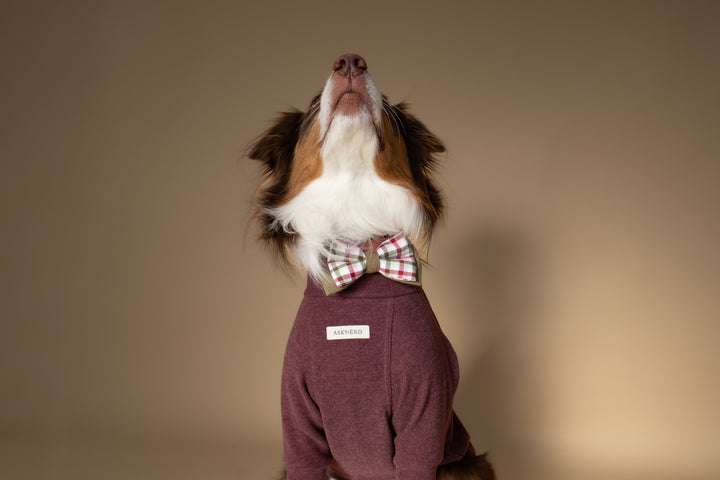 Turtleneck | Mulberry Wine