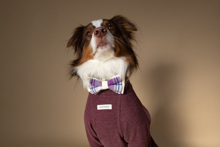 Turtleneck | Mulberry Wine