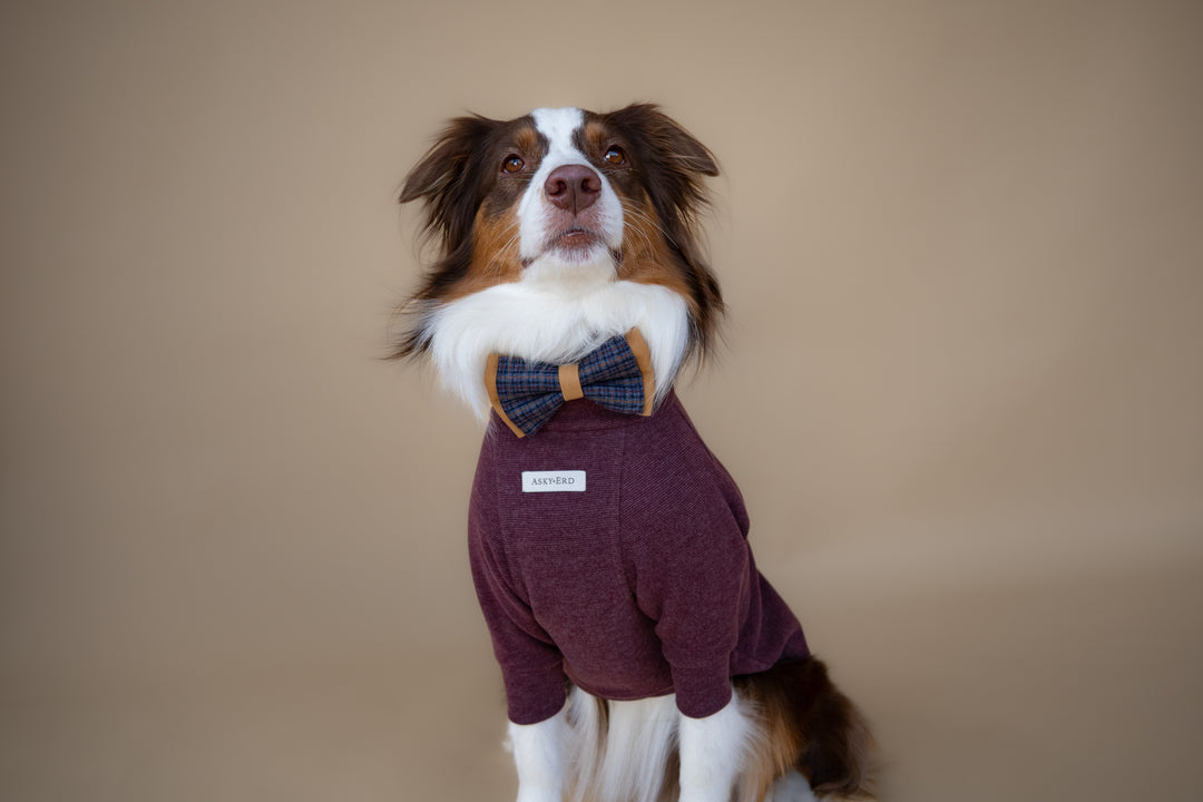 Turtleneck | Mulberry Wine