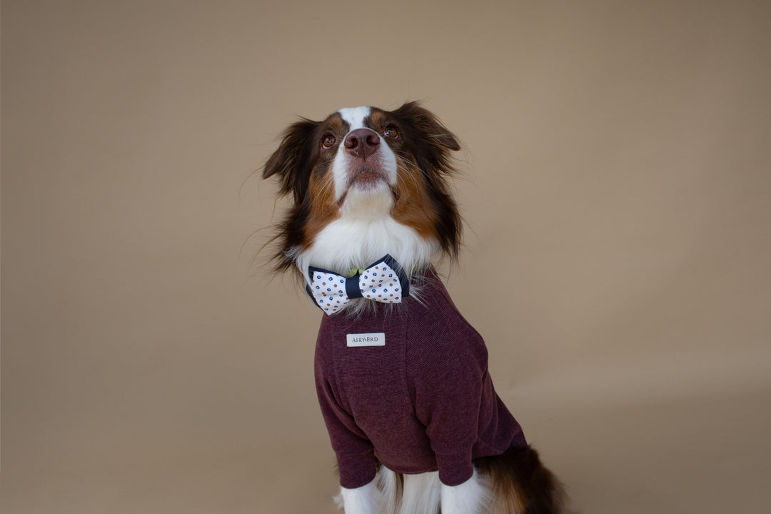 Turtleneck | Mulberry Wine