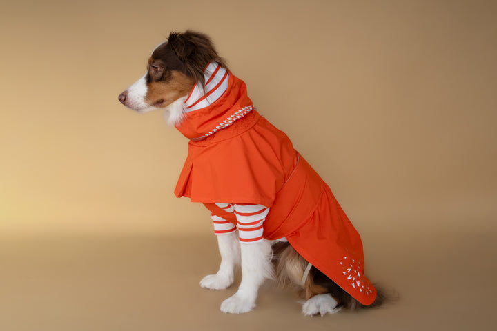 Turtleneck Tshirt | Tangerine Stripe