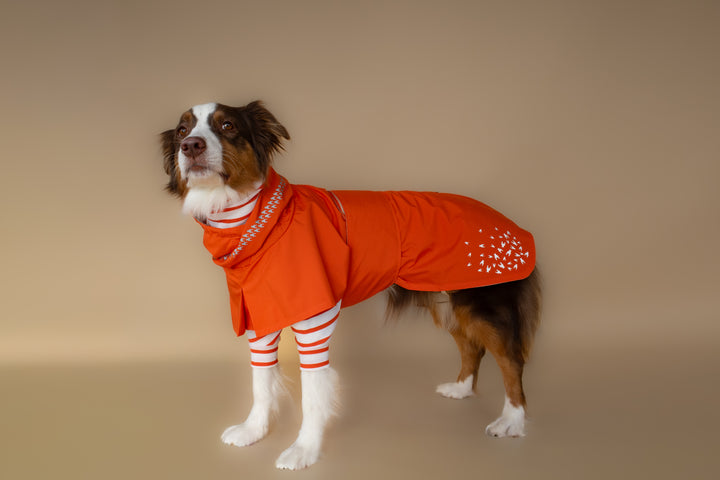 Turtleneck Tshirt | Tangerine Stripe