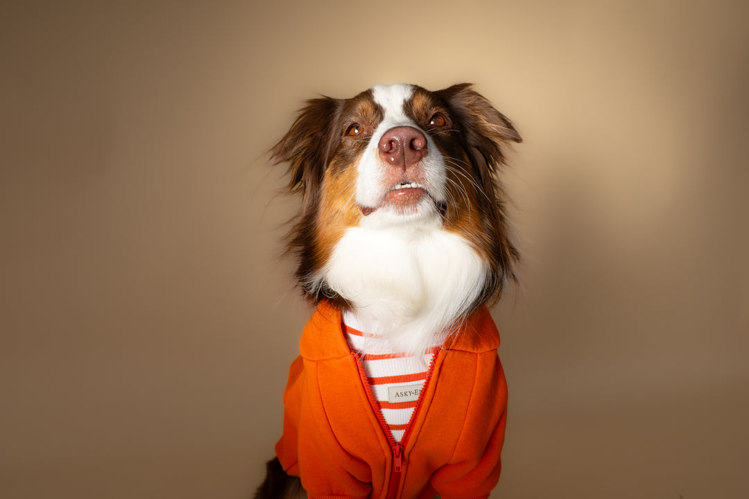 Turtleneck Tshirt | Tangerine Stripe