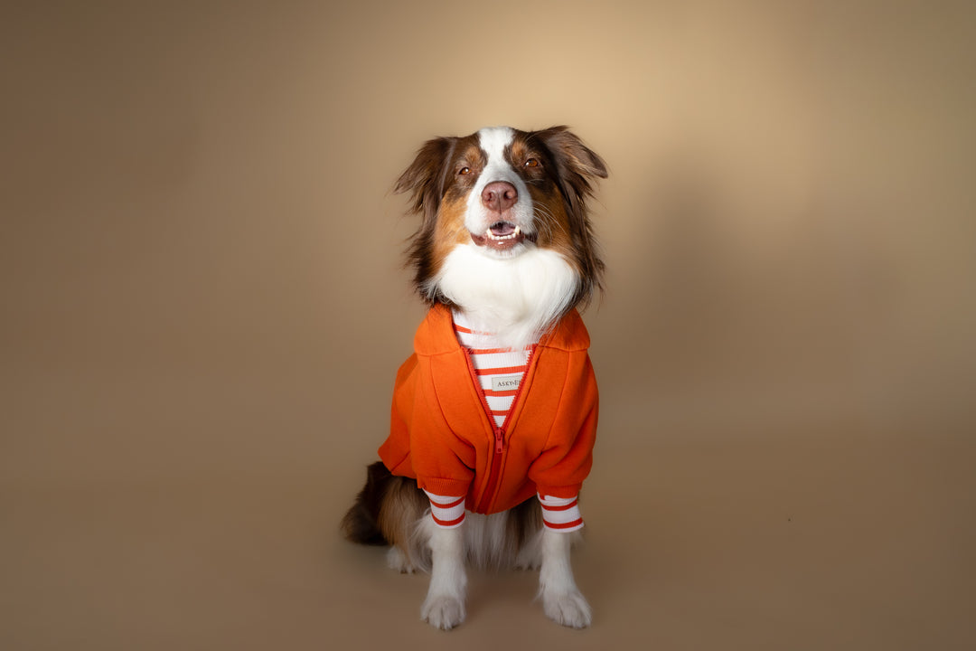 Turtleneck Tshirt | Tangerine Stripe