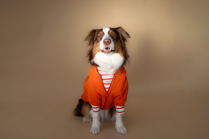 Turtleneck Tshirt | Tangerine Stripe