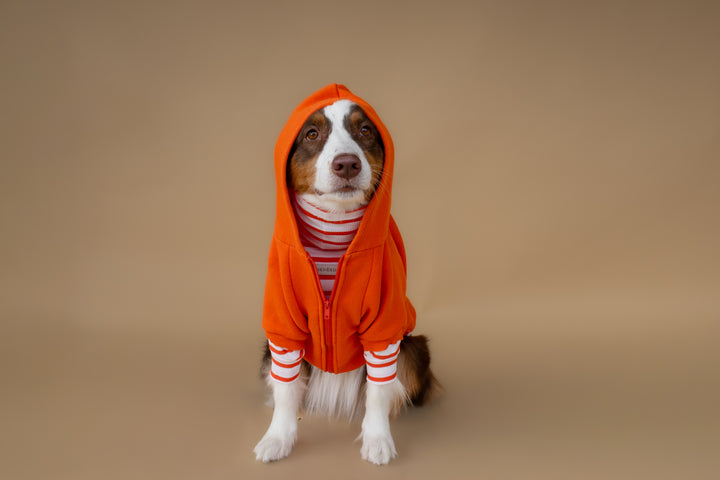 Turtleneck Tshirt | Tangerine Stripe